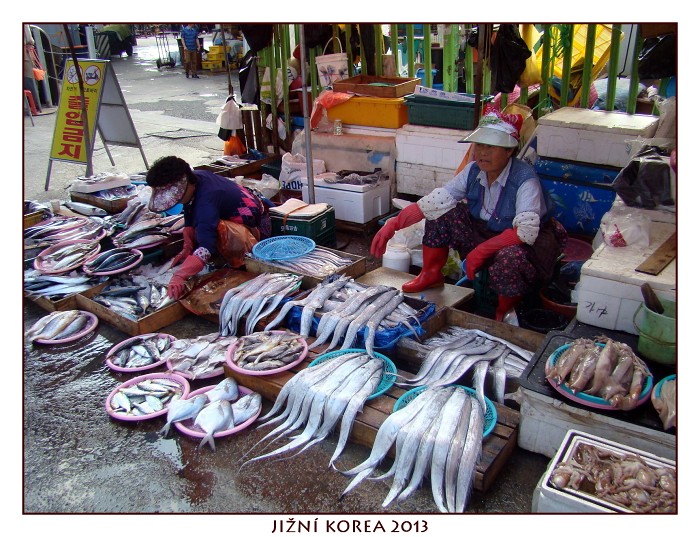 JIŽNÍ KOREA