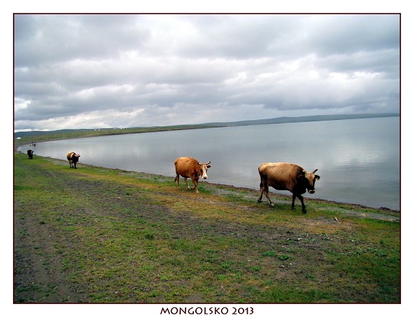 MONGOLSKO
