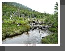 Tierra del Fuego