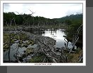 Tierra del Fuego