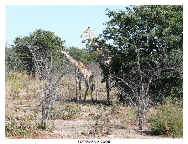 BOTSWANA