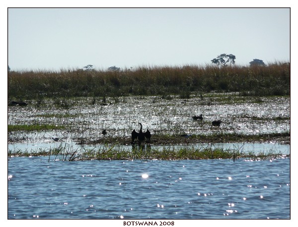 BOTSWANA