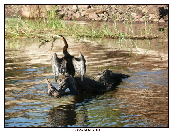 BOTSWANA