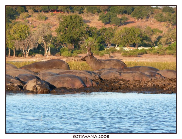 BOTSWANA