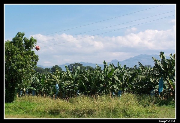 GUATEMALA