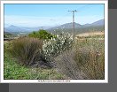 Namaqualand