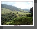 Valle de Cocora