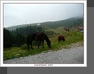 Šar Planina