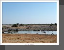 Etosha