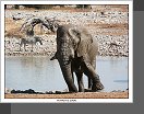 Etosha