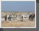 Etosha