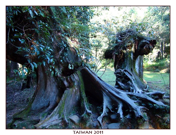 TAIWAN