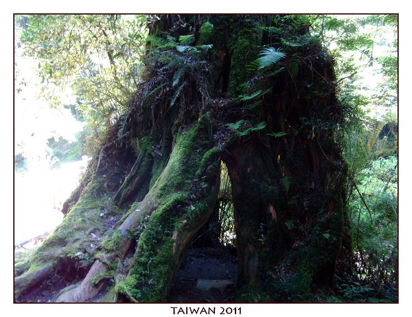 TAIWAN