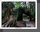 Alishan
