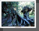 Alishan