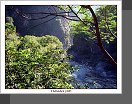 Taroko