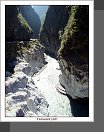 Taroko
