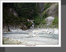 Taroko