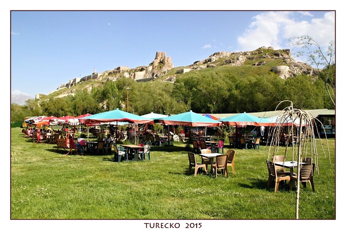 TURECKOE 2015