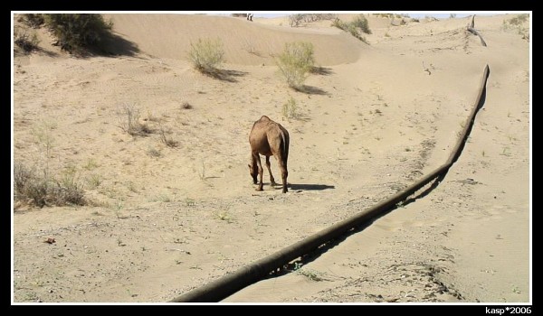 TURKMENISTÁN