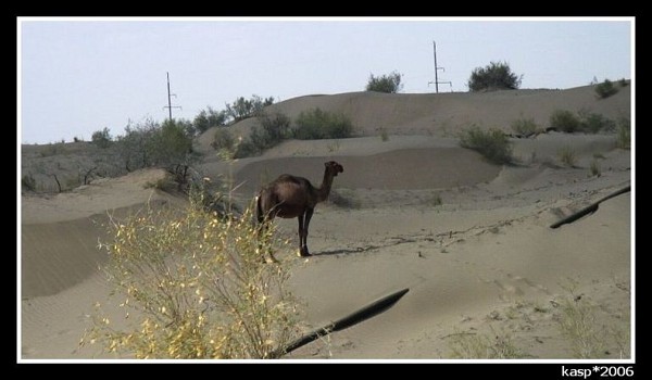 TURKMENISTÁN