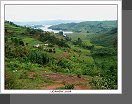 Kabale