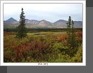 Denali Hwy