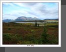 Denali Hwy