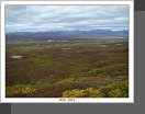 Denali Hwy